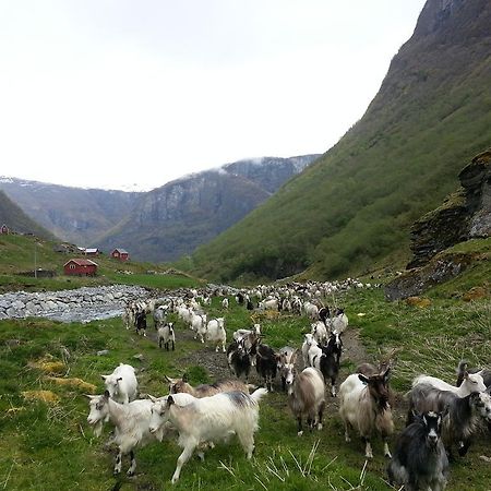 Отель Undredal Gjestehus Номер фото