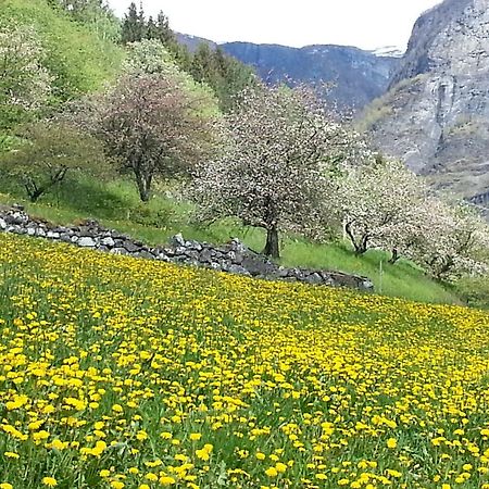 Отель Undredal Gjestehus Номер фото