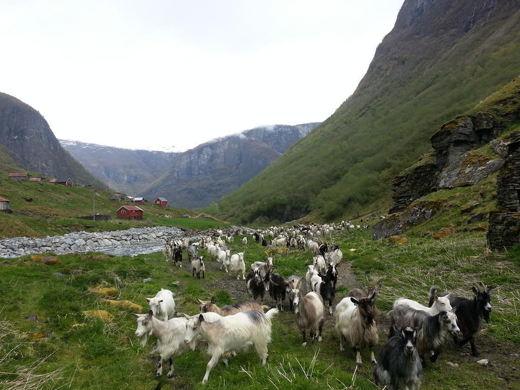 Отель Undredal Gjestehus Номер фото